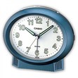 ЧАСОВНИК ЧАСОВНИК CASIO