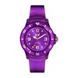 ЧАСОВНОК ICE WATCH