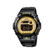 ЧАСОВНОК CASIO