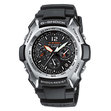 ЧАСОВНОК CASIO