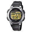 ЧАСОВНИК ЧАСОВНИК CASIO