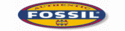 Fossil часовници Fossil часовници