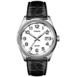 ЧАСОВНИК ЧАСОВНИК CASIO