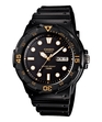 ЧАСОВНИК ЧАСОВНИК CASIO