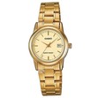 ЧАСОВНИК ЧАСОВНИК CASIO