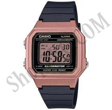 ЧАОВНИК CASIO