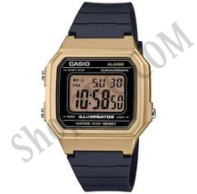 ЧАОВНИК CASIO