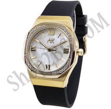 ЧАОВНИК ACCEPT